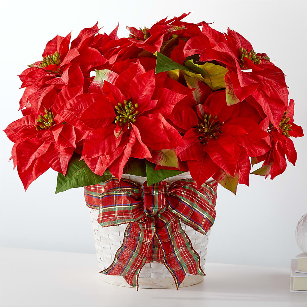 Happiest Holidays Poinsettia – Kiss Floral Llc, Conshohocken PA
