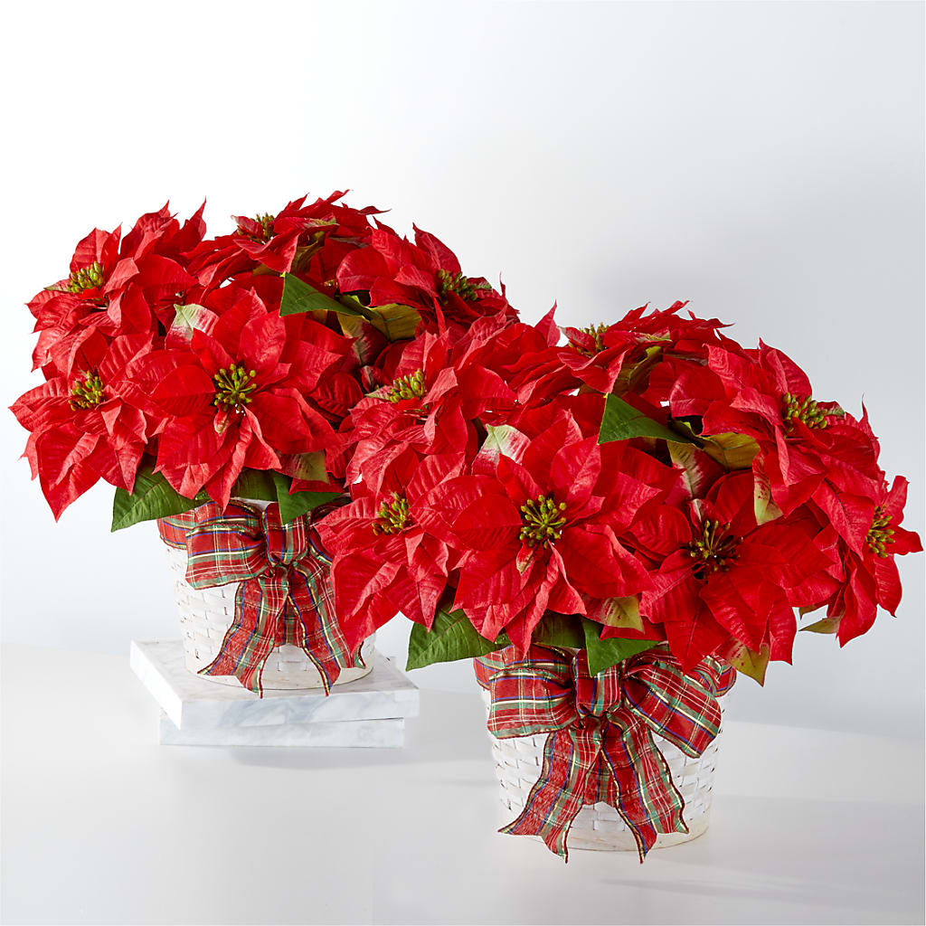 Happiest Holidays Poinsettia Bundle – Kiss Floral Llc, Conshohocken PA