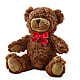 Adorable Plush Bear – Kiss Floral Llc, Conshohocken PA
