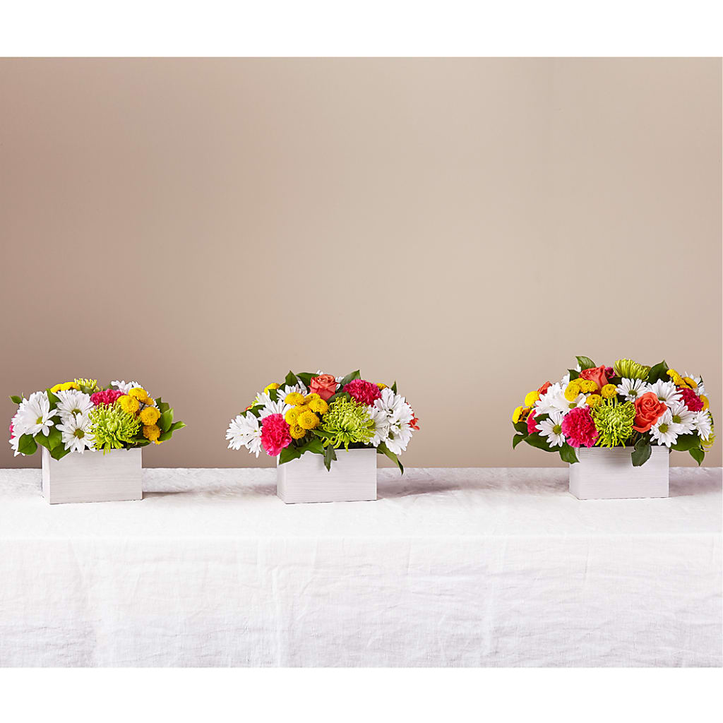 Sorbet Bouquet – Kiss Floral Llc, Conshohocken PA
