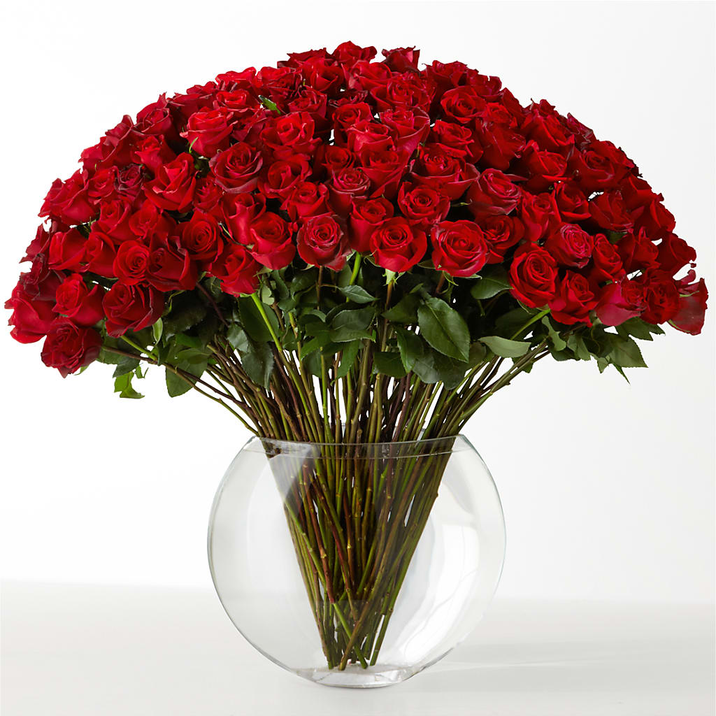 The Idealist – Kiss Floral Llc, Conshohocken PA