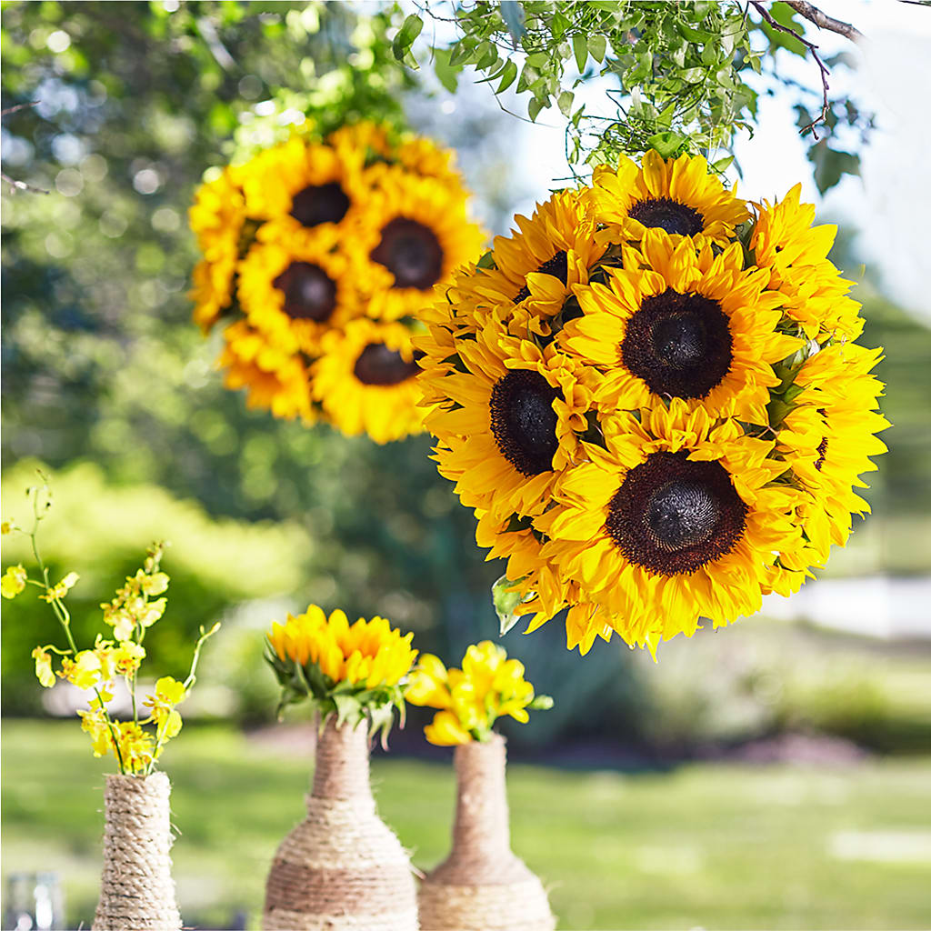 Sublime Garden Hanging Arrangement – Kiss Floral Llc, Conshohocken PA