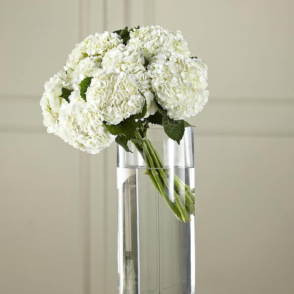 White Hydrangea Hand-Tied Bouquet – Kiss Floral Llc, Conshohocken PA