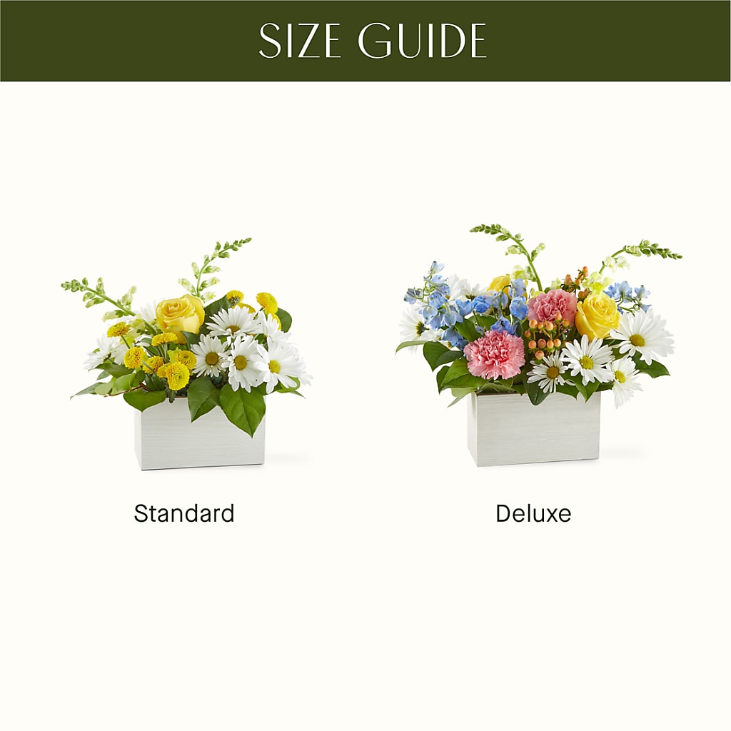 Sun Salutation Box Bouquet –  Kiss Floral Llc, Conshohocken PA