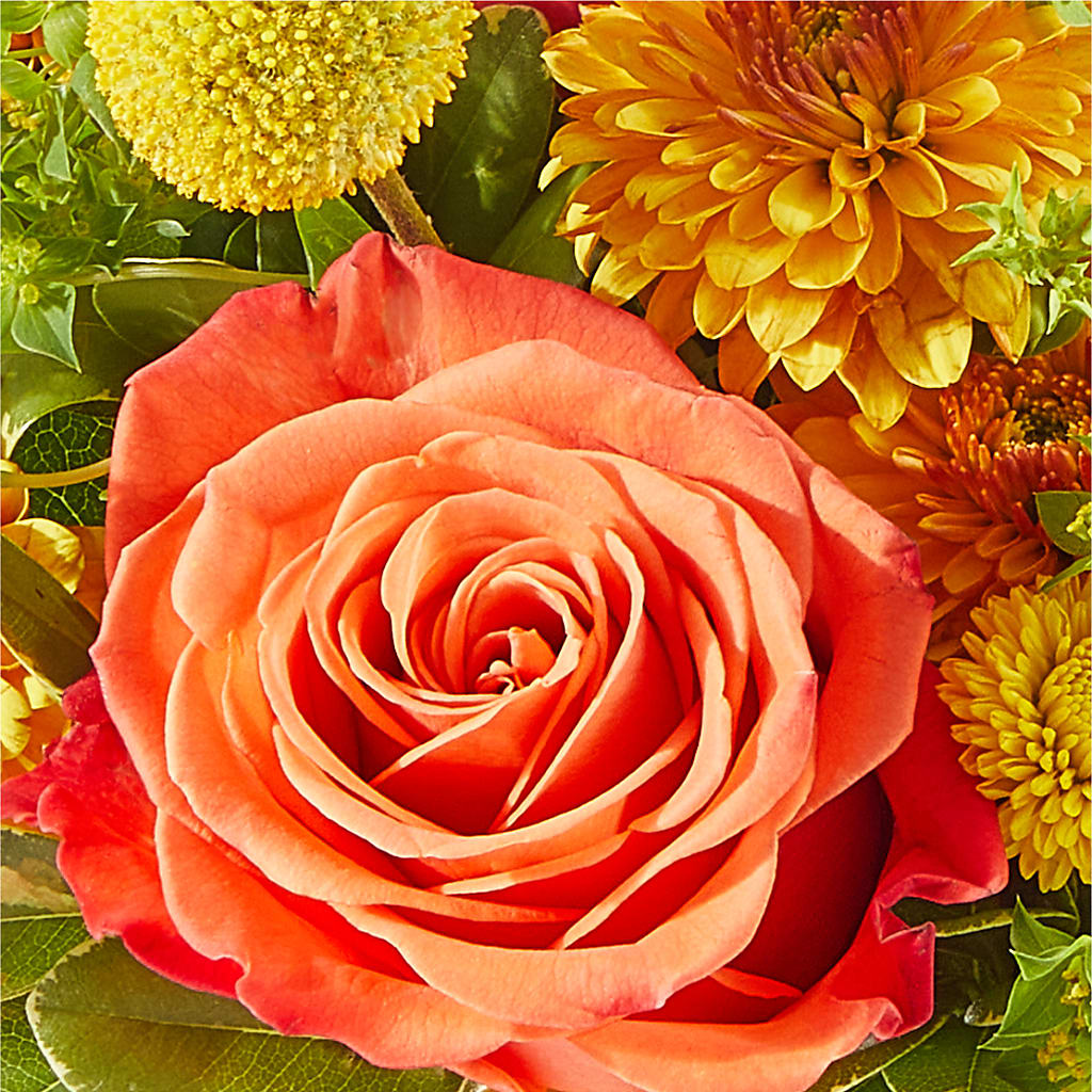 Gourdgeous Pumpkin –  Kiss Floral Llc, Conshohocken PA