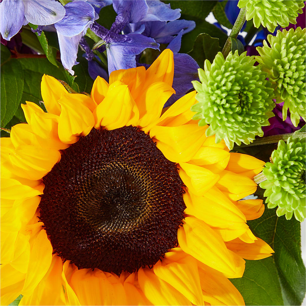 Catching Rays Bouquet –  Kiss Floral Llc, Conshohocken PA