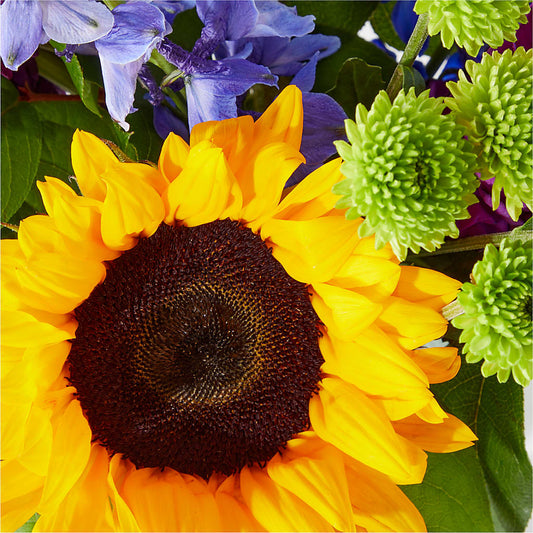 Catching Rays Bouquet –  Kiss Floral Llc, Conshohocken PA