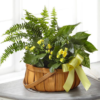 Always Dear Dishgarden –  Kiss Floral Llc, Conshohocken PA