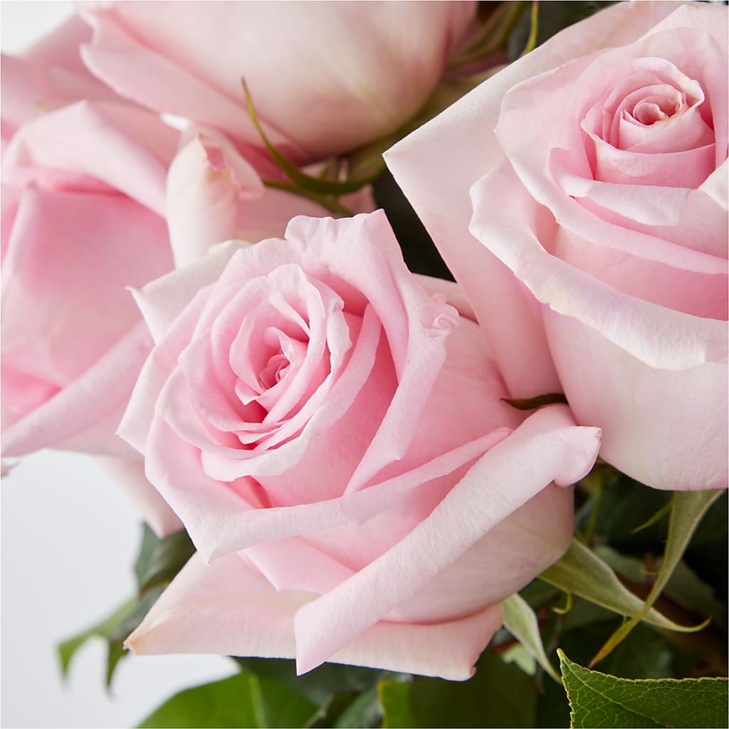 Picture Perfect Pink Rose Bouquet –  Kiss Floral Llc, Conshohocken PA