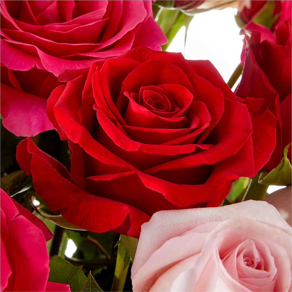Love Notes Rose Bouquet –  Kiss Floral Llc, Conshohocken PA