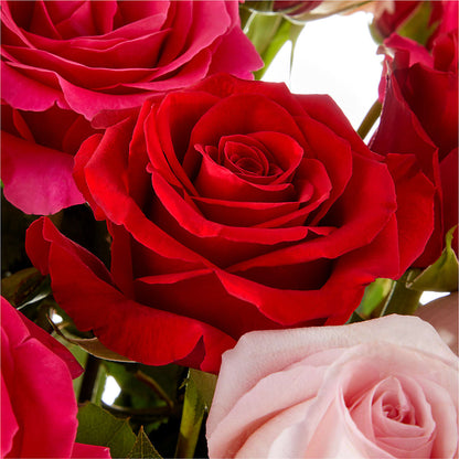 Love Notes Rose Bouquet –  Kiss Floral Llc, Conshohocken PA
