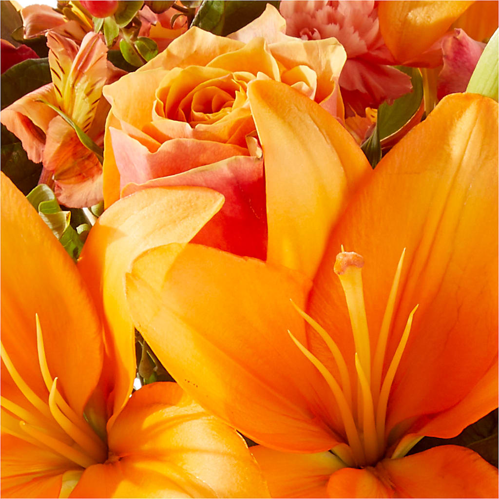 Afternoon Light Bouquet –  Kiss Floral Llc, Conshohocken PA
