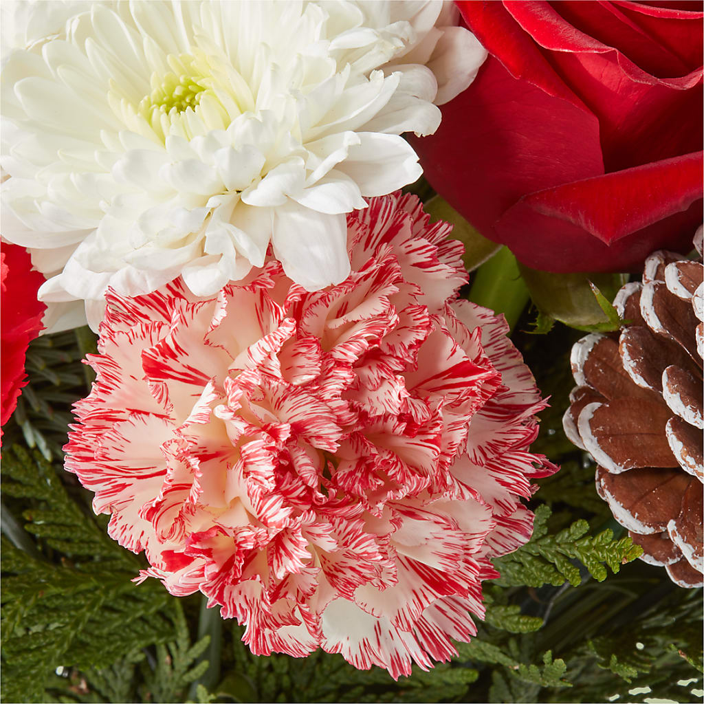 Candy Cane Lane Bouquet –  Kiss Floral Llc, Conshohocken PA