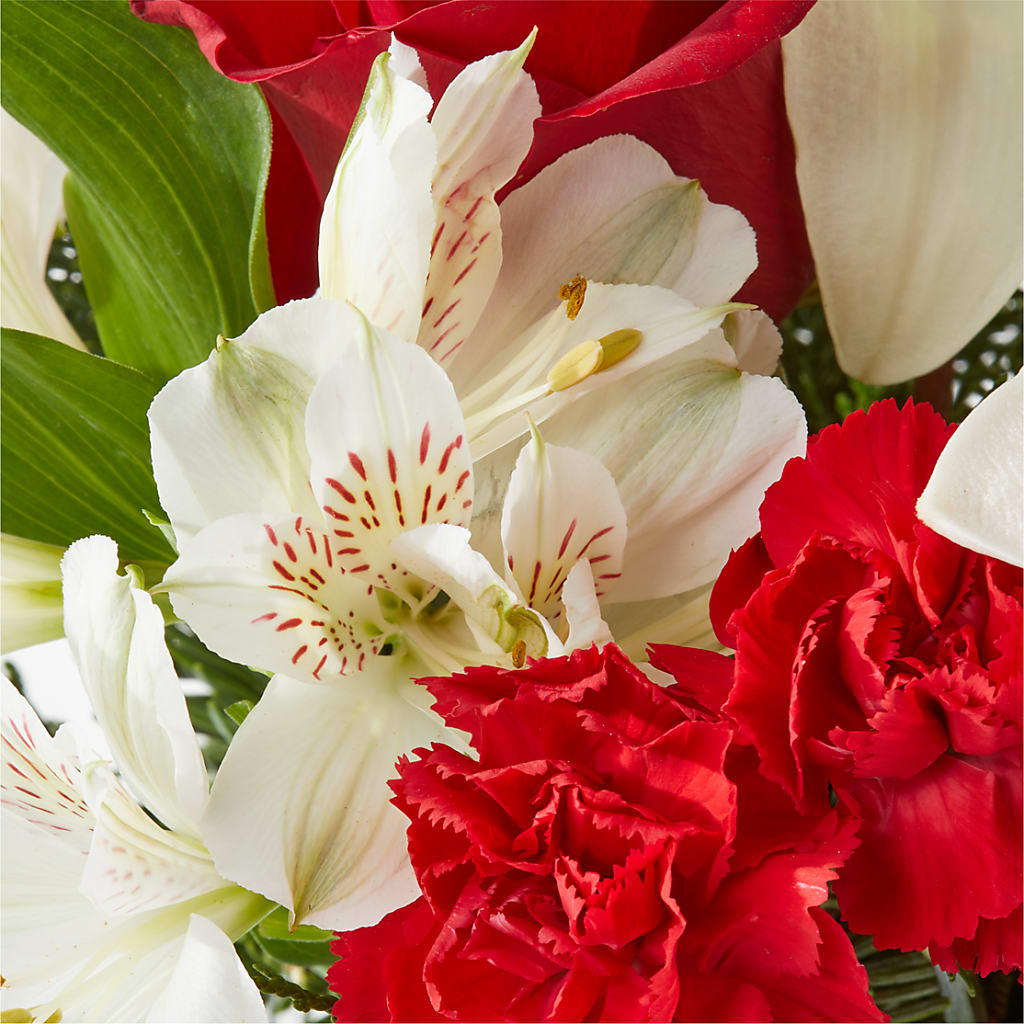 Holiday Season Bouquet –  Kiss Floral Llc, Conshohocken PA