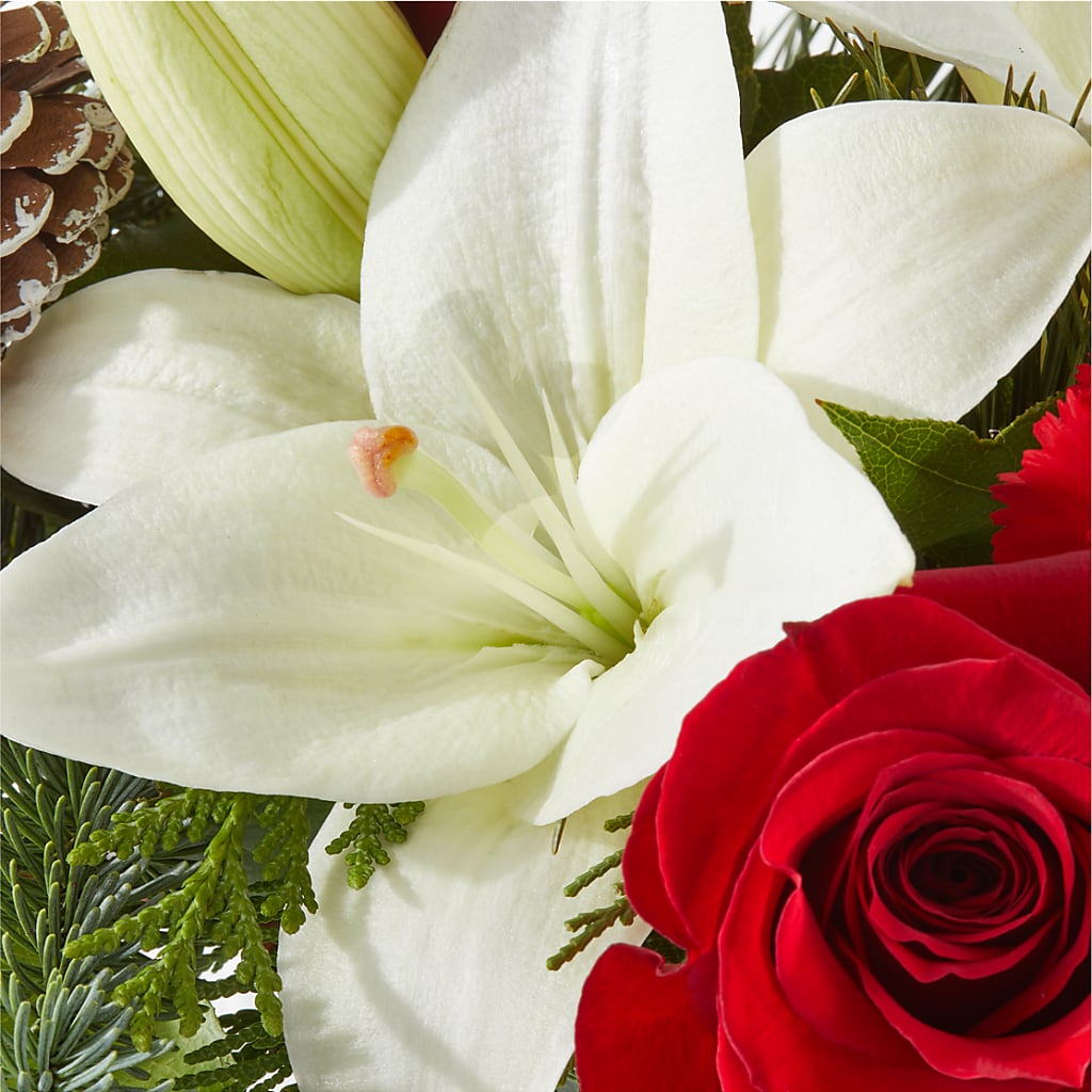 Oh So Jolly Bouquet –  Kiss Floral Llc, Conshohocken PA