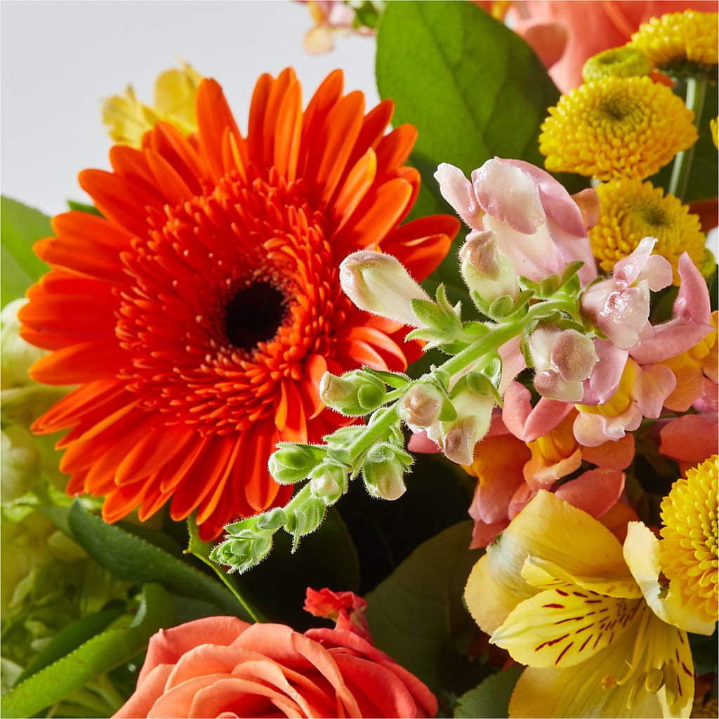 Autumn Sunshine Bouquet –  Kiss Floral Llc, Conshohocken PA