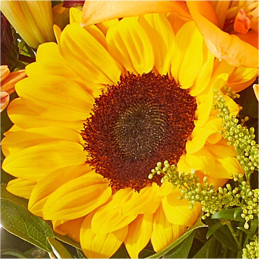 Seasons Change Bouquet –  Kiss Floral Llc, Conshohocken PA