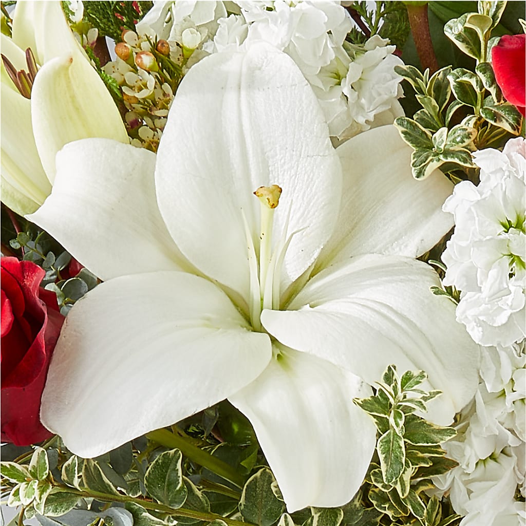 Twinkle Lights Bouquet –  Kiss Floral Llc, Conshohocken PA