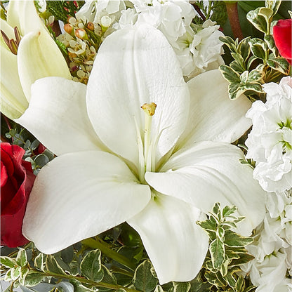 Twinkle Lights Bouquet –  Kiss Floral Llc, Conshohocken PA