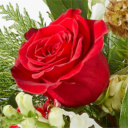 Deck the Halls Bouquet –  Kiss Floral Llc, Conshohocken PA