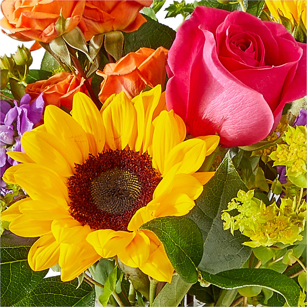 Vibrant Greetings Bouquet –  Kiss Floral Llc, Conshohocken PA