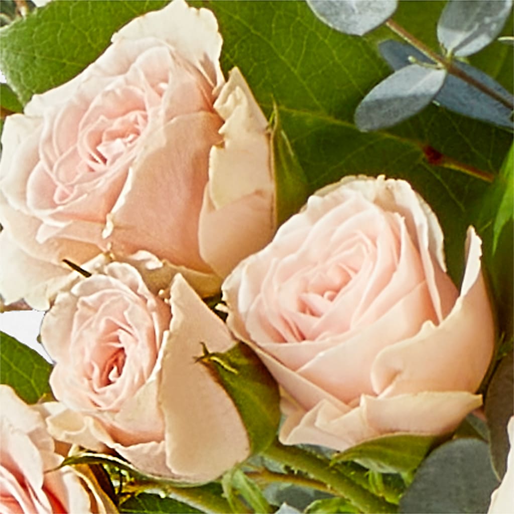 Inspired Bouquet –  Kiss Floral Llc, Conshohocken PA