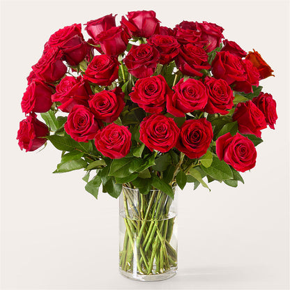 The One Red Rose Bouquet –  Kiss Floral Llc, Conshohocken PA