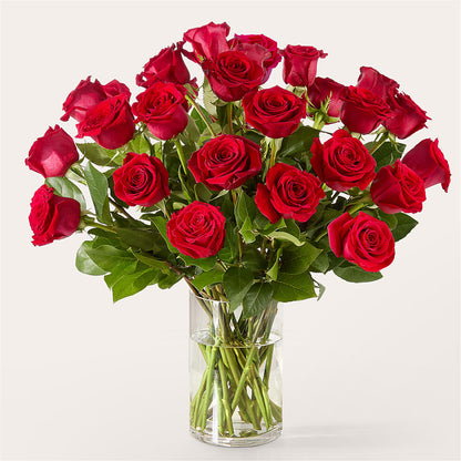 The One Red Rose Bouquet –  Kiss Floral Llc, Conshohocken PA