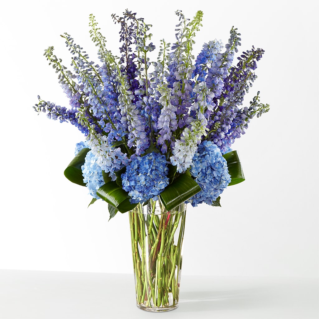 The Editorial –  Kiss Floral Llc, Conshohocken PA
