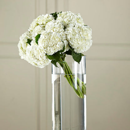 White Hydrangea Hand-Tied Bouquet –  Kiss Floral Llc, Conshohocken PA