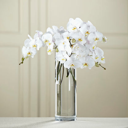 White Phalaenopsis Bouquet –  Kiss Floral Llc, Conshohocken PA