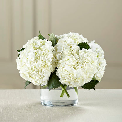White Hydrangea Bouquet –  Kiss Floral Llc, Conshohocken PA